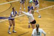 Volleyball North Henderson at East Henderson (BR3_1611)