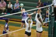 Volleyball North Henderson at East Henderson (BR3_1620)