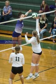 Volleyball North Henderson at East Henderson (BR3_1653)