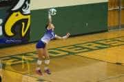 Volleyball North Henderson at East Henderson (BR3_1678)