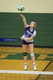 Volleyball North Henderson at East Henderson (BR3_1738)