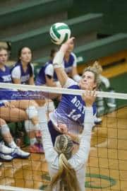 Volleyball North Henderson at East Henderson (BR3_1748)