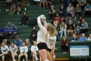 Volleyball North Henderson at East Henderson (BR3_1870)