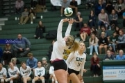 Volleyball North Henderson at East Henderson (BR3_1872)