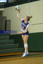 Volleyball North Henderson at East Henderson (BR3_2055)