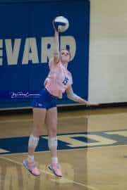 Volleyball: West Henderson at Brevard (BR3_2779)