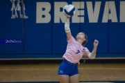 Volleyball: West Henderson at Brevard (BR3_3179)