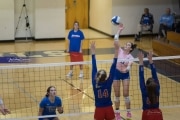 Volleyball: West Henderson at Brevard (BR3_3246)