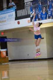 Volleyball: West Henderson at Brevard (BR3_3557)
