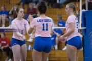 Volleyball: West Henderson at Brevard (BR3_3657)