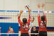 Volleyball: Franklin at West Henderson (BR3_3952)