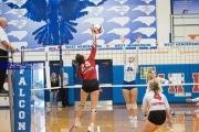 Volleyball: Franklin at West Henderson (BR3_3977)