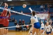 Volleyball: Franklin at West Henderson (BR3_4079)