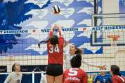 Volleyball: Franklin at West Henderson (BR3_4159)