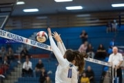 Volleyball: Franklin at West Henderson (BR3_4405)