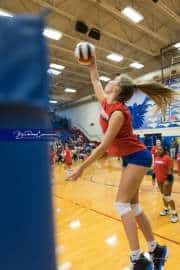 Volleyball: Franklin at West Henderson (BR3_4996)