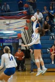 Volleyball: Franklin at West Henderson (BR3_5485)