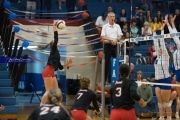 Volleyball: Franklin at West Henderson (BR3_5564)