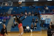 Volleyball: Franklin at West Henderson (BR3_5590)