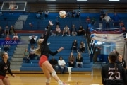 Volleyball: Franklin at West Henderson (BR3_5594)