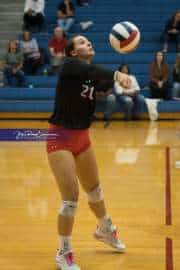 Volleyball: Franklin at West Henderson (BR3_5649)