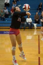 Volleyball: Franklin at West Henderson (BR3_5650)