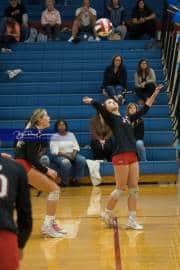 Volleyball: Franklin at West Henderson (BR3_5675)