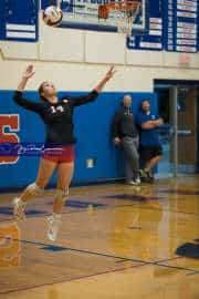 Volleyball: Franklin at West Henderson (BR3_5686)