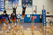 Volleyball: Franklin at West Henderson (BR3_5869)