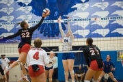 Volleyball: Franklin at West Henderson (BR3_5901)