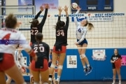 Volleyball: Franklin at West Henderson (BR3_5917)