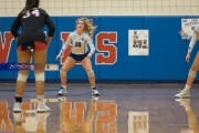 Volleyball: Franklin at West Henderson (BR3_5938)