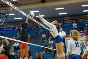 Volleyball: Franklin at West Henderson (BR3_6102)