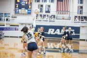 Volleyball: AC Reynolds and TC Roberson (BR3_2875)