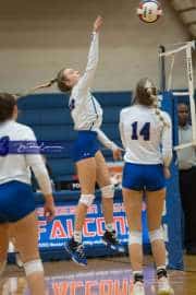 Volleyball: West Henderson Round 2 (BR3_5464)