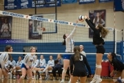 Volleyball: West Henderson Round 2 (BR3_5541)