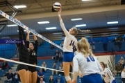 Volleyball: West Henderson Round 2 (BR3_5857)