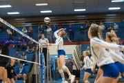 Volleyball: West Henderson Round 2 (BR3_5960)