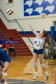 Volleyball: West Henderson Round 2 (BR3_6313)