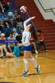 Volleyball: West Henderson Round 2 (BR3_6341)