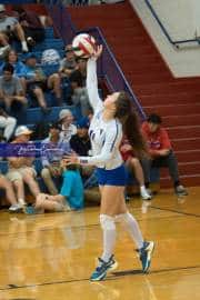 Volleyball: West Henderson Round 2 (BR3_6342)