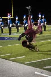 West Henderson Marching Band (BR3_9923)