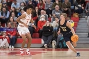 Basketball: TC Roberson at Hendersonville (BR3_2773)