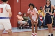 Basketball: TC Roberson at Hendersonville (BR3_2799)