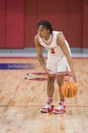 Basketball: TC Roberson at Hendersonville (BR3_3409)