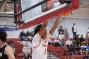Basketball: TC Roberson at Hendersonville (BR3_3527)
