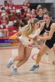 Basketball: TC Roberson at Hendersonville (BR3_1892)