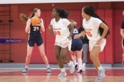 Basketball: TC Roberson at Hendersonville (BR3_2056)