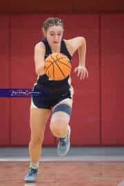 Basketball: TC Roberson at Hendersonville (BR3_2060)