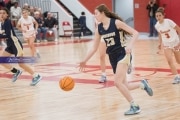 Basketball: TC Roberson at Hendersonville (BR3_2192)